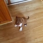 Gina Mccormick - @gina.mccormick.5 - Instagram
