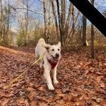 Gina Morrison-McCormick - @morrisonmccormick - Instagram