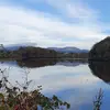 Gina McGrath - @gina.mcgrath6 - TikTok