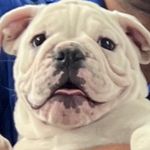 Gina McGraw - @dallastompls - Instagram