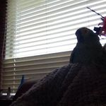 Gina McLaughlin - @gina.mclaughlin.739 - Instagram