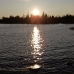 Ginny McLaughlin - Facebook