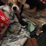 Gina Mclean - @gina.mclean.98 - Instagram
