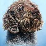 Gina McLeod - Facebook