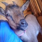 Ginny Mobley Vineyard - @ginnymobleyvineyard - Instagram