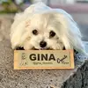 Jennifer Jacotine - @gina_monaco - TikTok