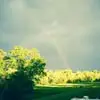 Gina Moses - @gina.moses3 - TikTok