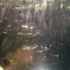 Gina Newcombe - @gina.newcombe - TikTok