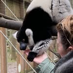 Gina Newman - @ginanewman587 - Instagram