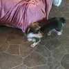 Gina ochoa - @ochoaboo38 - TikTok