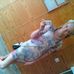 Gina Ormond - Facebook
