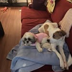Gina Macari Patterson - @ginapatterson1051 - Instagram