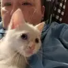Gina.pena6 - @gina.pena66 - TikTok