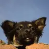 ginaperrina - @ginaperrina - TikTok
