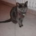 Gina Piperea - Facebook