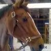 ginaramey240 - @ginaramey240 - TikTok