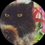 Gina 🐾 - @ginarapp_ - Instagram