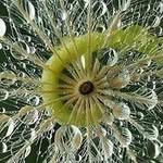 Gina Richards - @lanza362 - Instagram