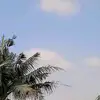 ginaripatunnajah - @ginaripatunnajah - TikTok