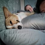 Gina Roach - @ginag4786 - Instagram
