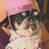 Gina Rocha - @burnthecityn_run - TikTok