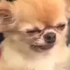 Mama C - @treyingaround - TikTok