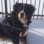 Gina Ryer - @ginaryer - Instagram