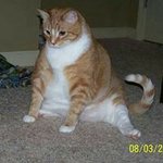 Gina Carroll Sampson - @gsampson1820 - Instagram