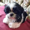 ginasampson95 - @ginasampson95 - TikTok