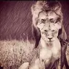 Gina SantAngelo - @ginasantangelo2 - TikTok
