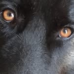 Gina F. Saunders - @gina.f.saunders - Instagram