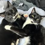 Gina Scheffler - @ginascheffler - Instagram