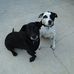 Gina Scheffler - Facebook