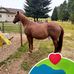 Gena Serna - Facebook