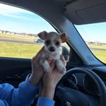 Gina Shaffer - @rshaffer67 - Instagram
