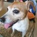 Gina Sharpe - Facebook