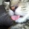 ginasharp51 - @ginasharp51 - TikTok