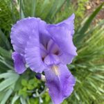 Gina Shields - @ginas_photography._ - Instagram