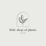 Gina | Small Business Owner | Plant Shop - @littleshopofplantstx - Instagram