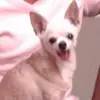 ginasnider - @ginasnider - TikTok