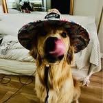 Gina Dillard Spada - @gds45 - Instagram