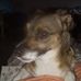 Gina Spada - Facebook