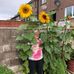 Gina Spence - Facebook