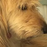Gina Squires - @squiresgina - Instagram