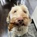 Gina Lewis Stack - Facebook