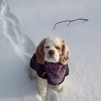 Gina Stover - Facebook
