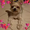 Gina Su - @ginasu9 - TikTok