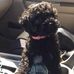 Gina Sutherland - Facebook