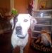Gina Suttles - Facebook