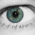 Gina Tanner - @gtanner262 - Instagram
